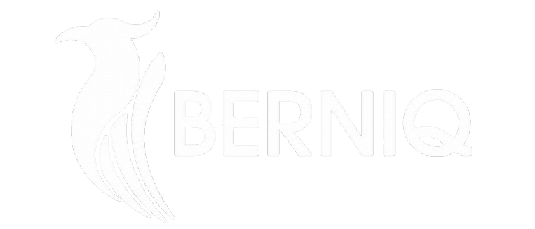 Berniq Airways logo